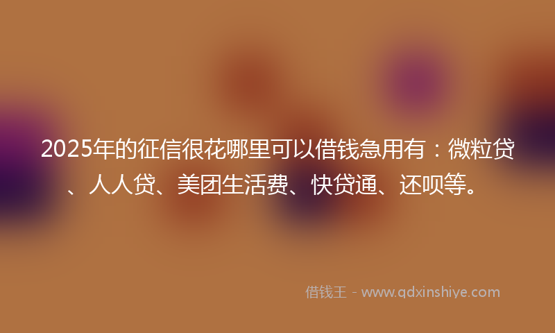 2025年的征信很花哪里可以借钱急用有：微粒贷、人人贷、美团生活费、快贷通、还呗等。