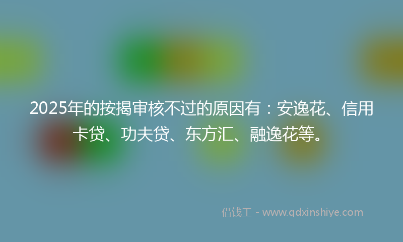 2025年的按揭审核不过的原因有：安逸花、信用卡贷、功夫贷、东方汇、融逸花等。
