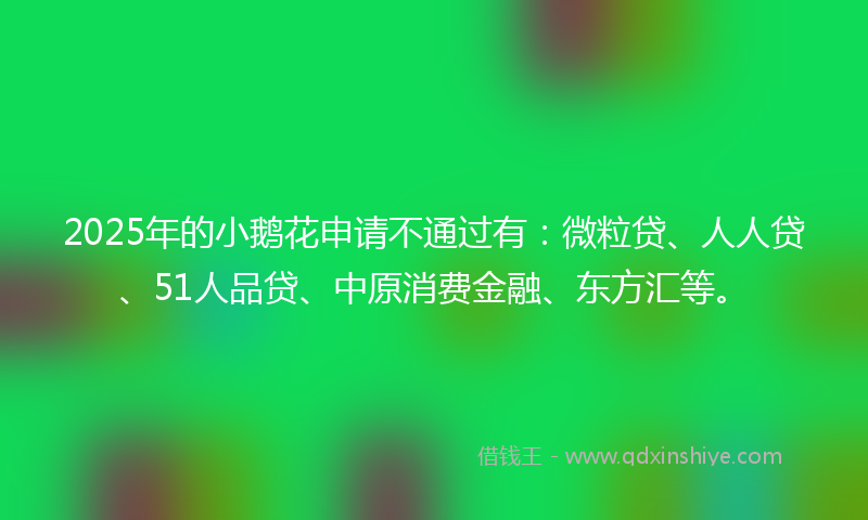 2025年的小鹅花申请不通过有：微粒贷、人人贷、51人品贷、中原消费金融、东方汇等。
