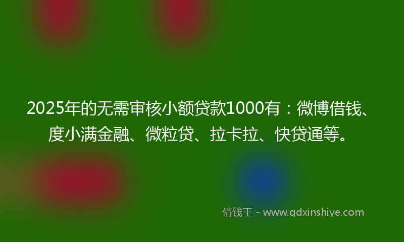 2025年的无需审核小额贷款1000有：微博借钱、度小满金融、微粒贷、拉卡拉、快贷通等。