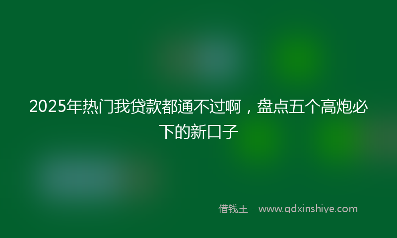 2025年热门我贷款都通不过啊，盘点五个高炮必下的新口子