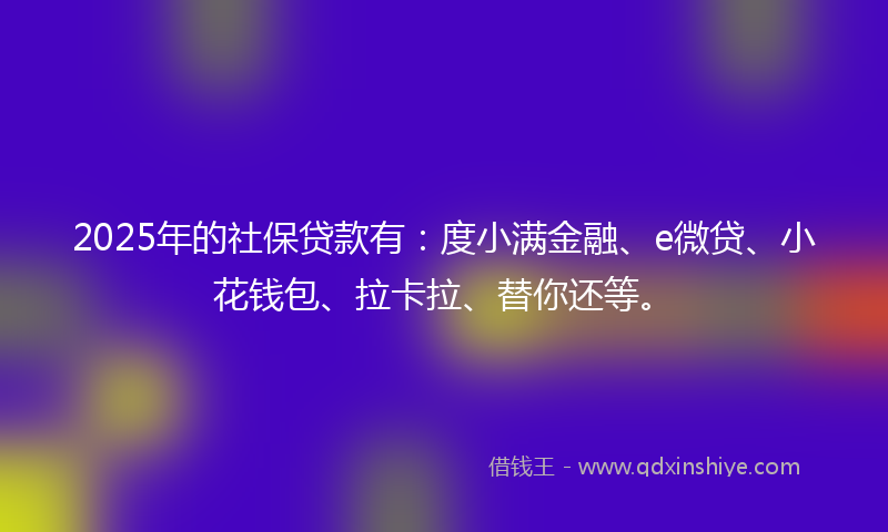2025年的社保贷款有：度小满金融、e微贷、小花钱包、拉卡拉、替你还等。