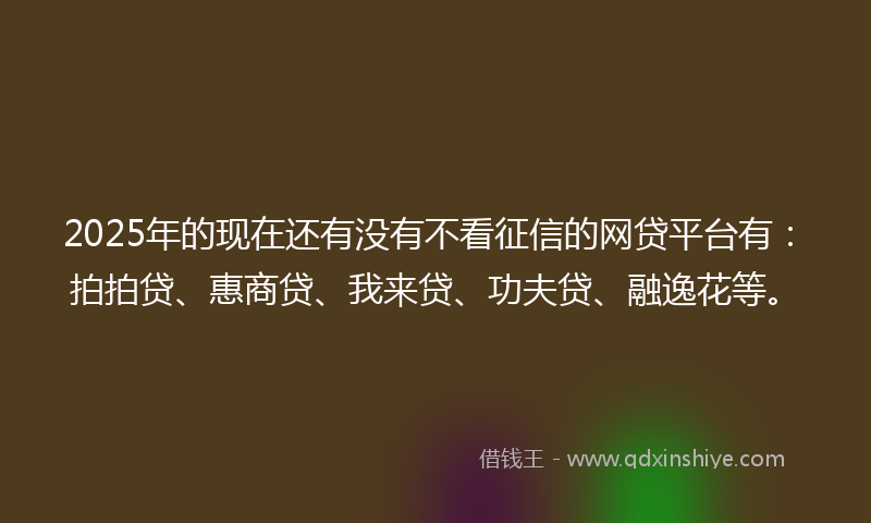 2025年的现在还有没有不看征信的网贷平台有：拍拍贷、惠商贷、我来贷、功夫贷、融逸花等。
