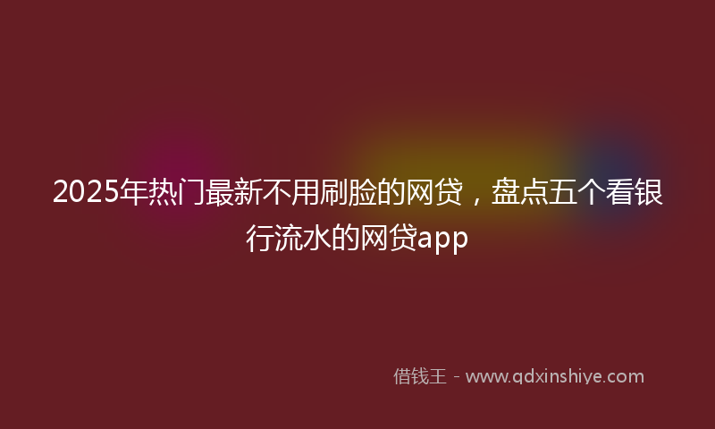 2025年热门最新不用刷脸的网贷，盘点五个看银行流水的网贷app