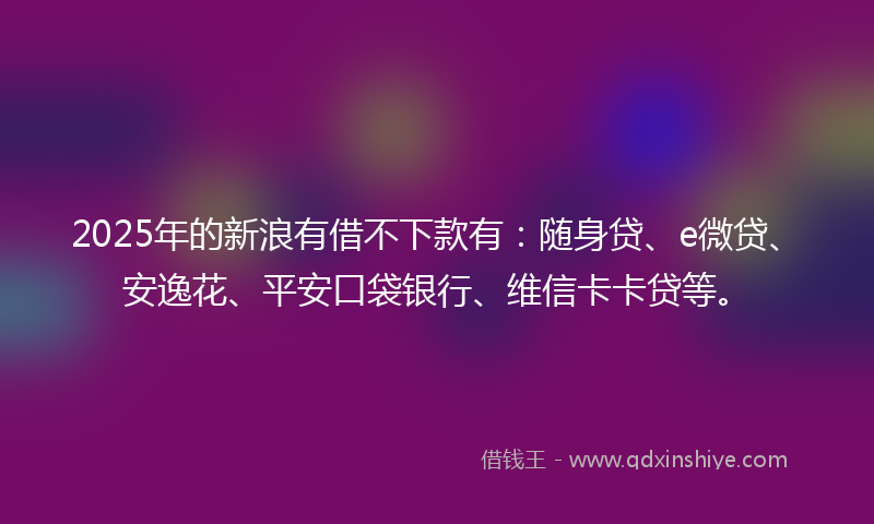 2025年的新浪有借不下款有：随身贷、e微贷、安逸花、平安口袋银行、维信卡卡贷等。