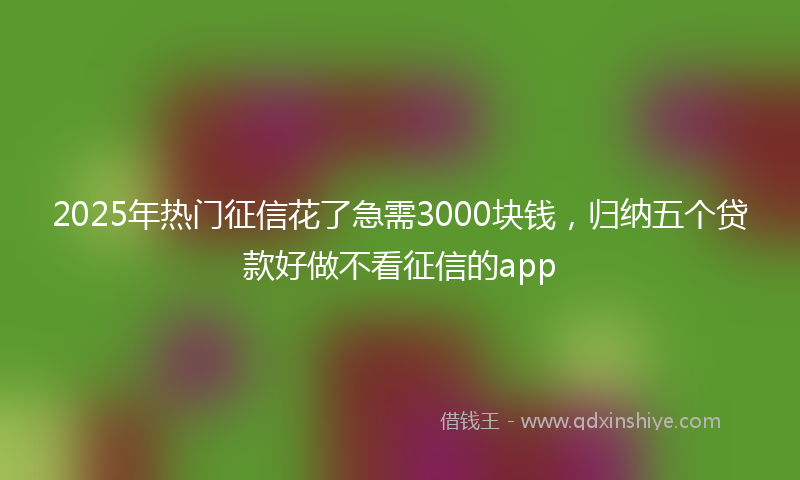 2025年热门征信花了急需3000块钱，归纳五个贷款好做不看征信的app