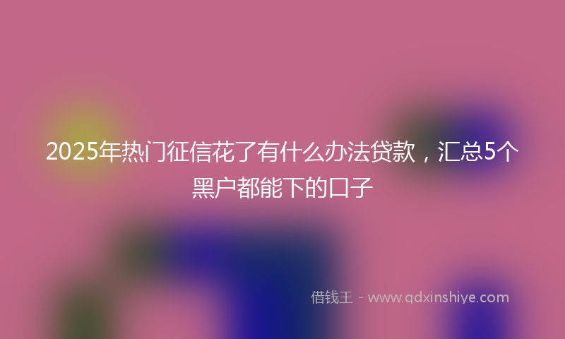 2025年热门征信花了有什么办法贷款，汇总5个黑户都能下的口子