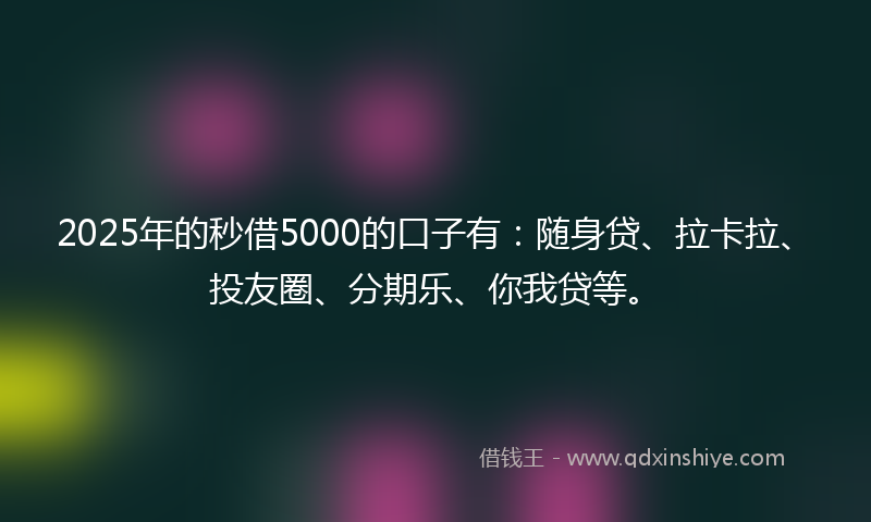 2025年的秒借5000的口子有：随身贷、拉卡拉、投友圈、分期乐、你我贷等。