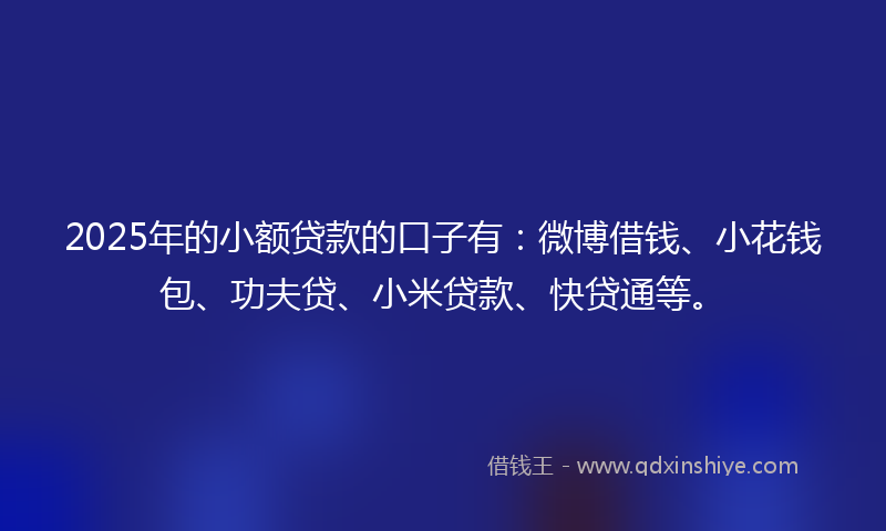 2025年的小额贷款的口子有：微博借钱、小花钱包、功夫贷、小米贷款、快贷通等。