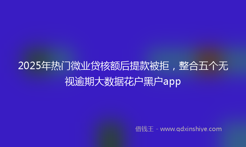 2025年热门微业贷核额后提款被拒，整合五个无视逾期大数据花户黑户app