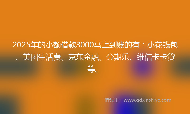 2025年的小额借款3000马上到账的有：小花钱包、美团生活费、京东金融、分期乐、维信卡卡贷等。