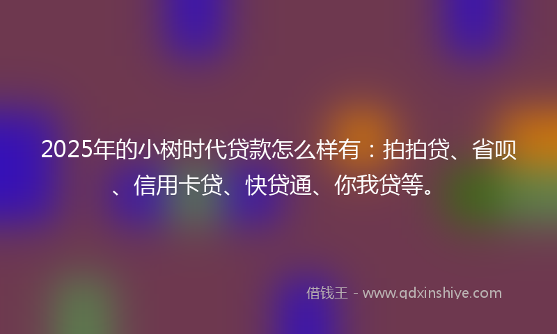 2025年的小树时代贷款怎么样有：拍拍贷、省呗、信用卡贷、快贷通、你我贷等。