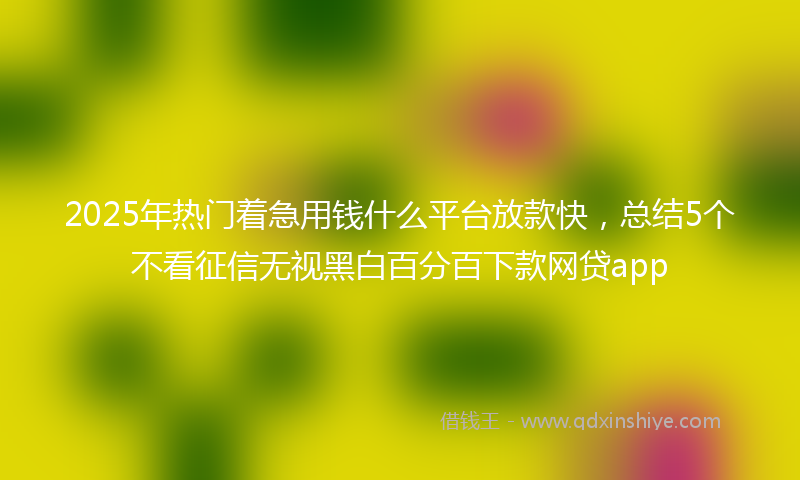 2025年热门着急用钱什么平台放款快，总结5个不看征信无视黑白百分百下款网贷app