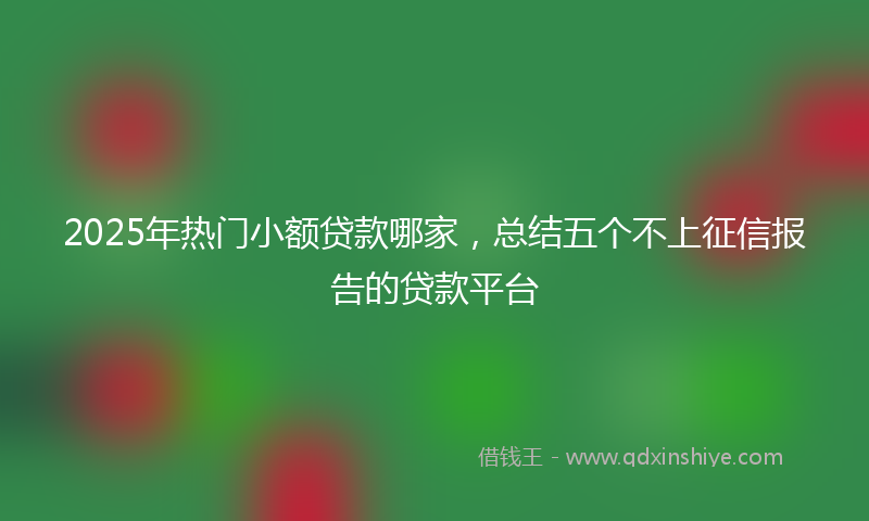 2025年热门小额贷款哪家，总结五个不上征信报告的贷款平台