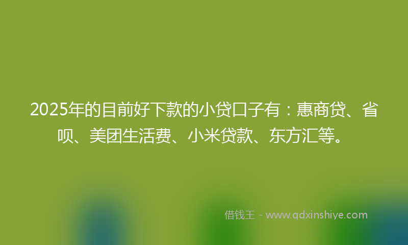 2025年的目前好下款的小贷口子有：惠商贷、省呗、美团生活费、小米贷款、东方汇等。