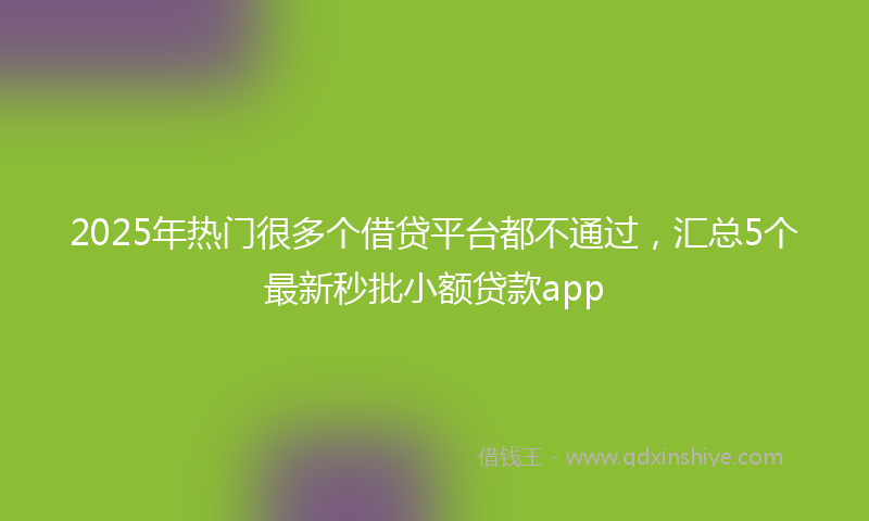 2025年热门很多个借贷平台都不通过，汇总5个最新秒批小额贷款app