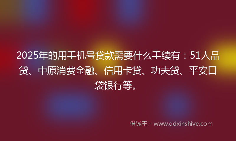 2025年的用手机号贷款需要什么手续有：51人品贷、中原消费金融、信用卡贷、功夫贷、平安口袋银行等。
