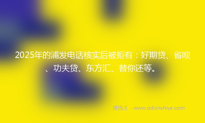 2025年的浦发电话核实后被拒有：好期贷、省呗、功夫贷、东方汇、替你还等。