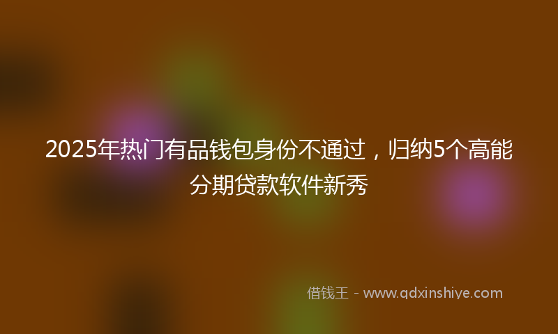 2025年热门有品钱包身份不通过，归纳5个高能分期贷款软件新秀
