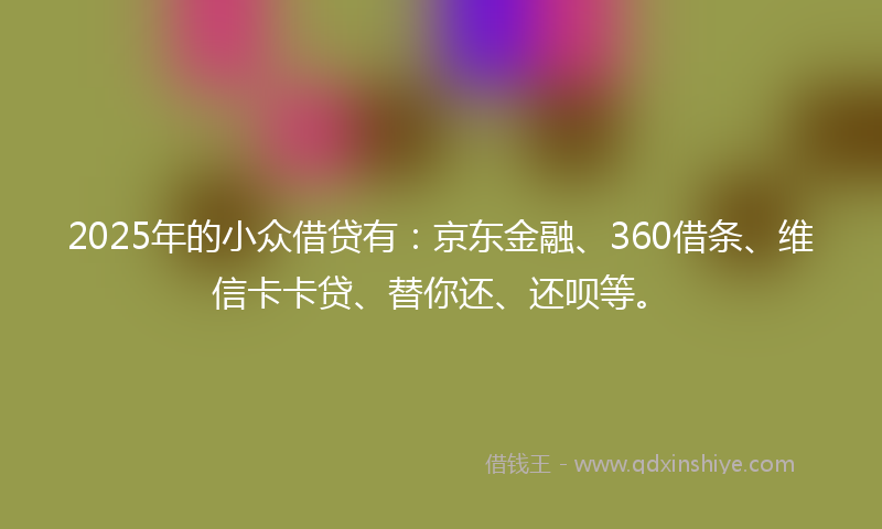 2025年的小众借贷有：京东金融、360借条、维信卡卡贷、替你还、还呗等。