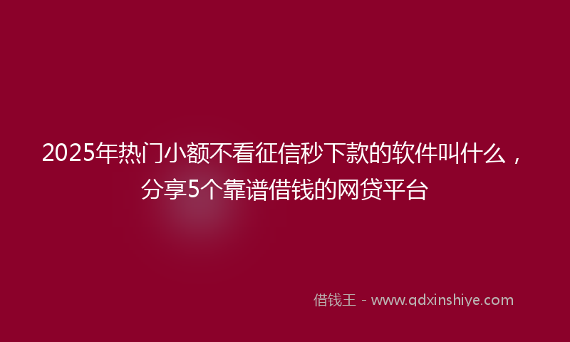 2025年热门小额不看征信秒下款的软件叫什么，分享5个靠谱借钱的网贷平台
