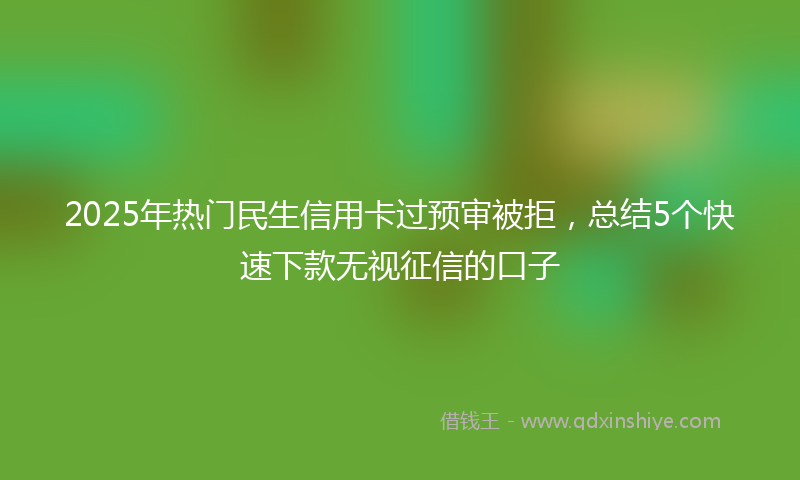 2025年热门民生信用卡过预审被拒，总结5个快速下款无视征信的口子