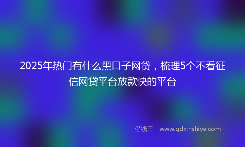 2025年热门有什么黑口子网贷，梳理5个不看征信网贷平台放款快的平台