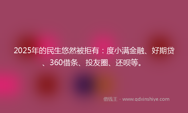 2025年的民生悠然被拒有：度小满金融、好期贷、360借条、投友圈、还呗等。
