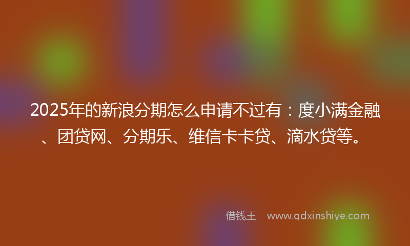 2025年的新浪分期怎么申请不过有：度小满金融、团贷网、分期乐、维信卡卡贷、滴水贷等。
