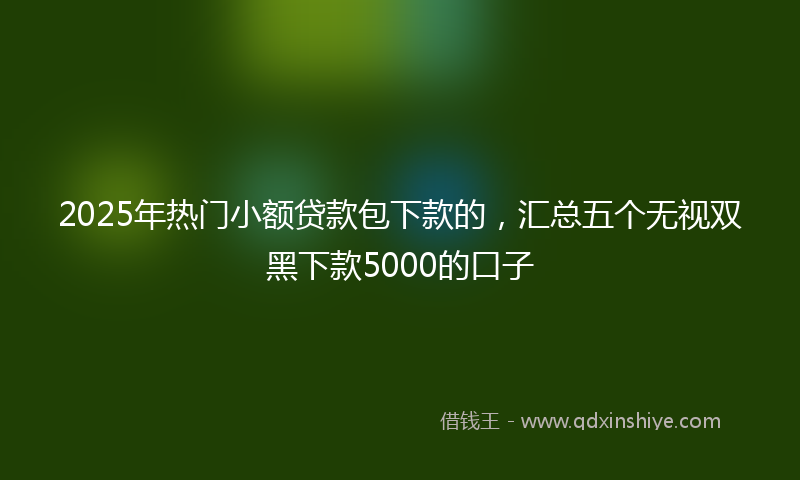 2025年热门小额贷款包下款的，汇总五个无视双黑下款5000的口子