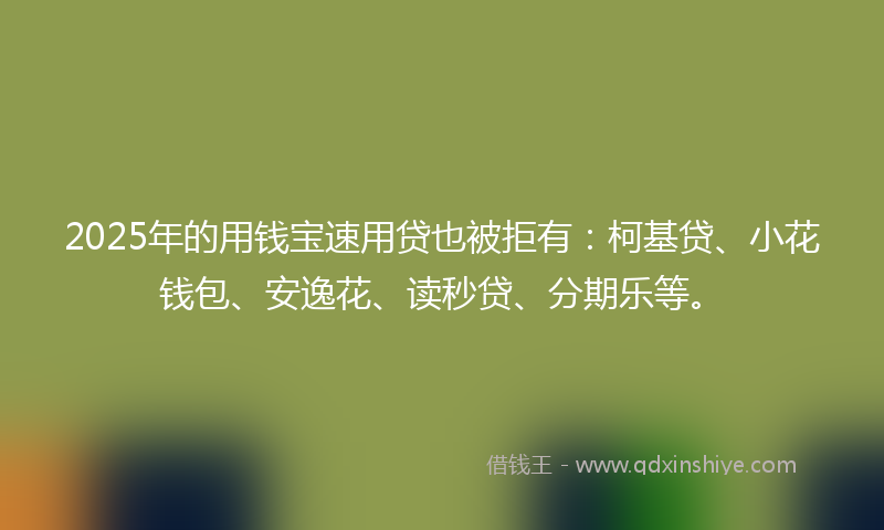 2025年的用钱宝速用贷也被拒有：柯基贷、小花钱包、安逸花、读秒贷、分期乐等。