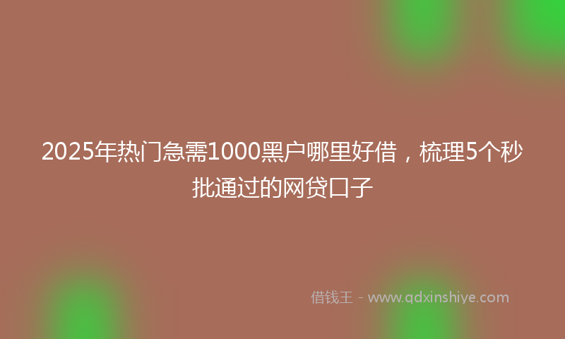 2025年热门急需1000黑户哪里好借，梳理5个秒批通过的网贷口子