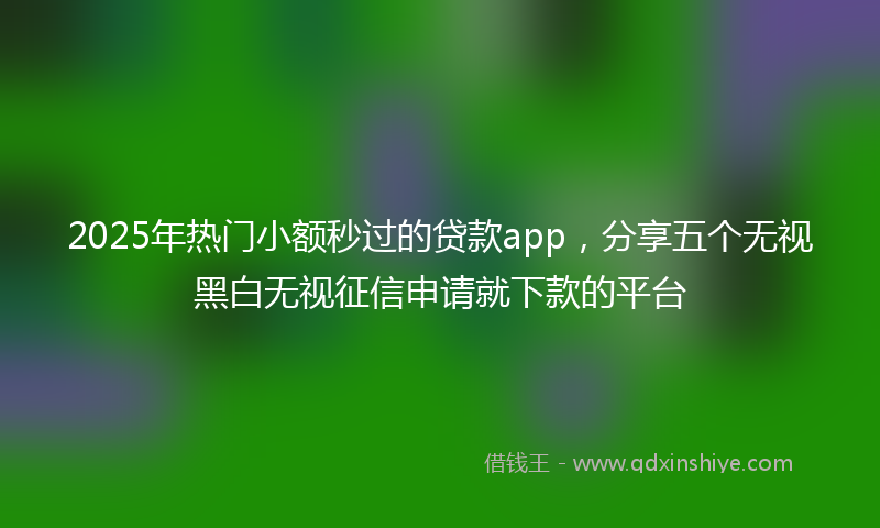 2025年热门小额秒过的贷款app，分享五个无视黑白无视征信申请就下款的平台