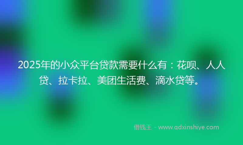 2025年的小众平台贷款需要什么有：花呗、人人贷、拉卡拉、美团生活费、滴水贷等。