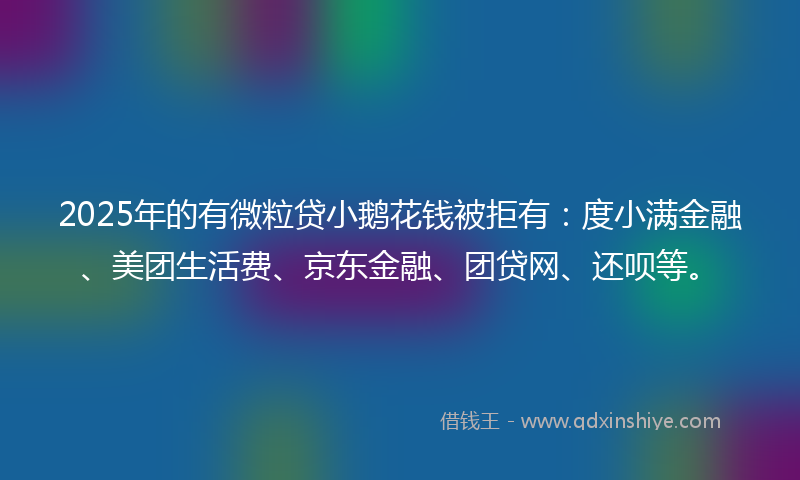 2025年的有微粒贷小鹅花钱被拒有：度小满金融、美团生活费、京东金融、团贷网、还呗等。