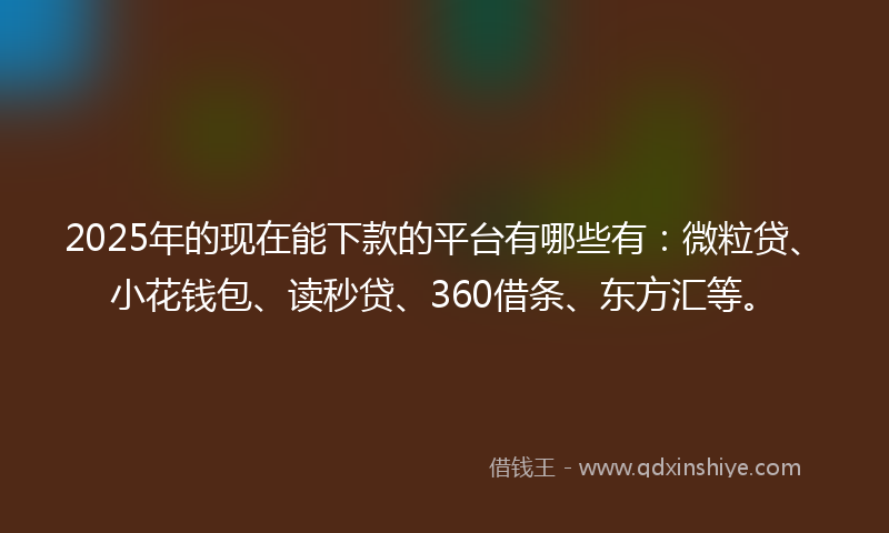 2025年的现在能下款的平台有哪些有：微粒贷、小花钱包、读秒贷、360借条、东方汇等。