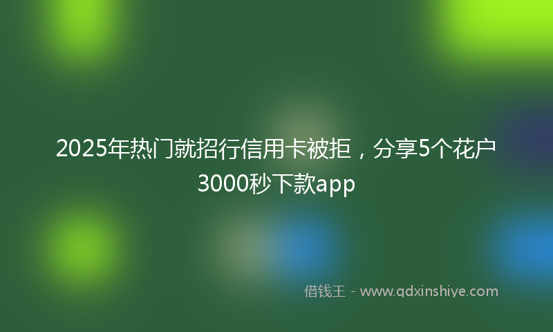 2025年热门就招行信用卡被拒，分享5个花户3000秒下款app