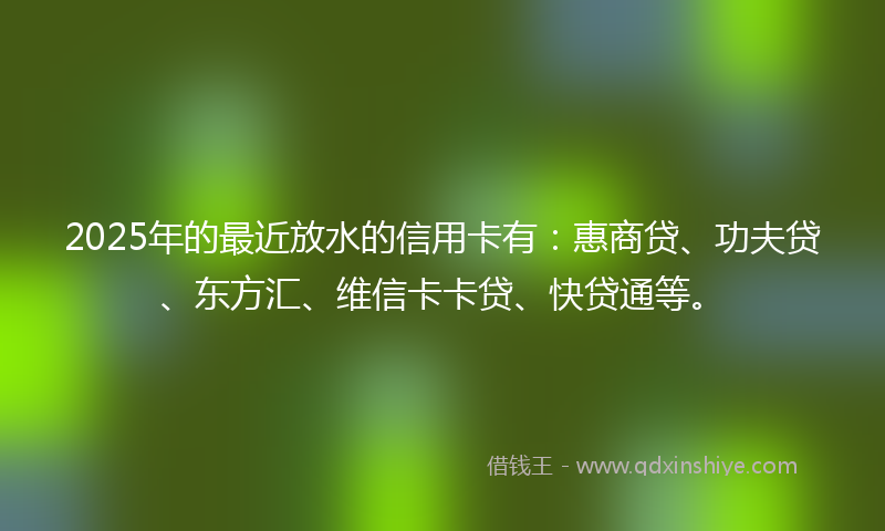 2025年的最近放水的信用卡有：惠商贷、功夫贷、东方汇、维信卡卡贷、快贷通等。
