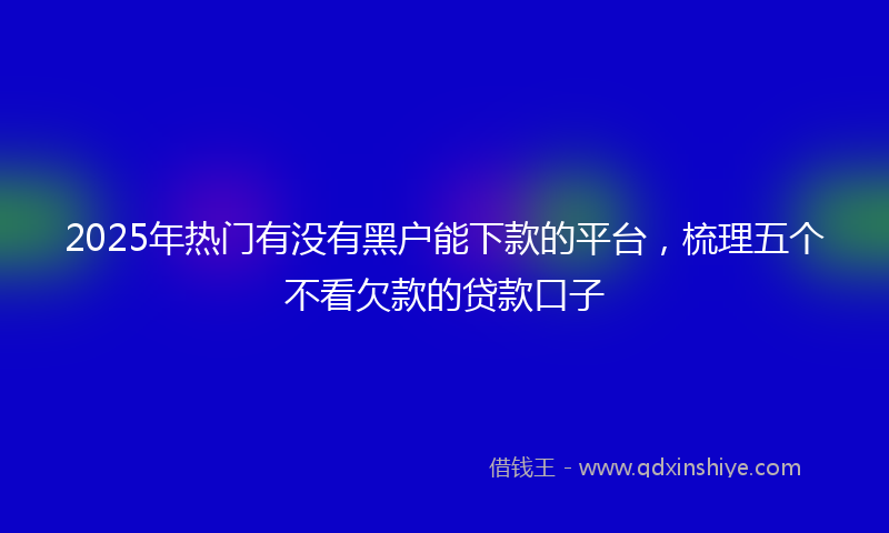 2025年热门有没有黑户能下款的平台，梳理五个不看欠款的贷款口子