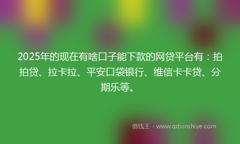 2025年的现在有啥口子能下款的网贷平台有：拍拍贷、拉卡拉、平安口袋银行、维信卡卡贷、分期乐等。