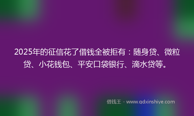 2025年的征信花了借钱全被拒有：随身贷、微粒贷、小花钱包、平安口袋银行、滴水贷等。
