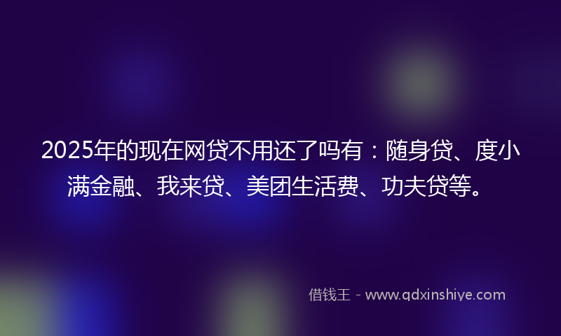 2025年的现在网贷不用还了吗有：随身贷、度小满金融、我来贷、美团生活费、功夫贷等。