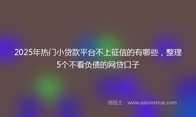 2025年热门小贷款平台不上征信的有哪些，整理5个不看负债的网贷口子