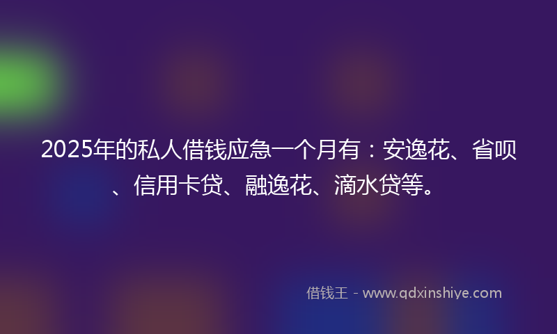 2025年的私人借钱应急一个月有：安逸花、省呗、信用卡贷、融逸花、滴水贷等。