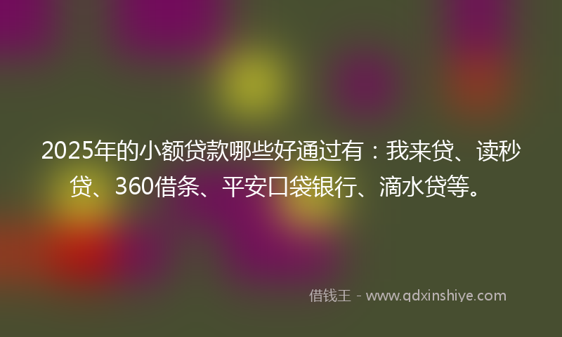 2025年的小额贷款哪些好通过有：我来贷、读秒贷、360借条、平安口袋银行、滴水贷等。