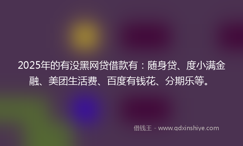 2025年的有没黑网贷借款有：随身贷、度小满金融、美团生活费、百度有钱花、分期乐等。