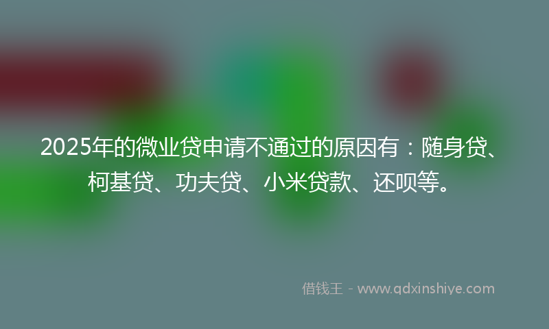 2025年的微业贷申请不通过的原因有:随身贷、柯基贷、功夫贷、小米贷款、还呗等。