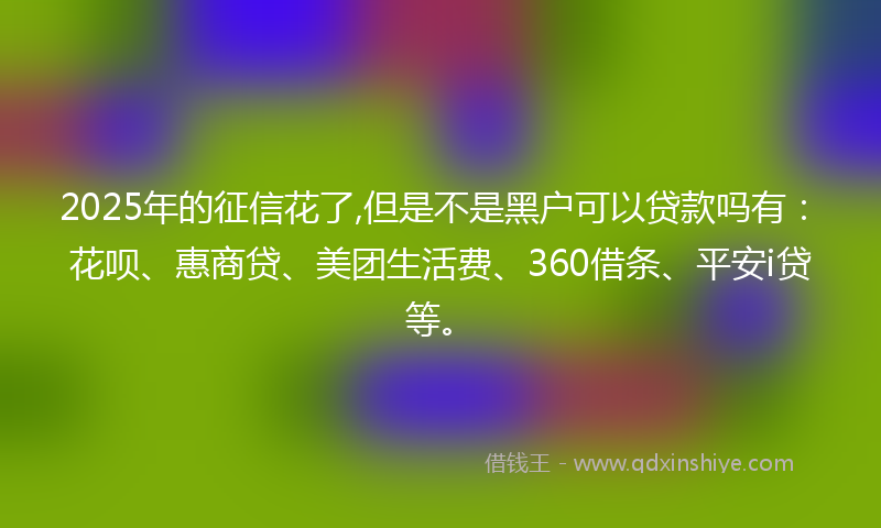 2025年的征信花了,但是不是黑户可以贷款吗有：花呗、惠商贷、美团生活费、360借条、平安i贷等。