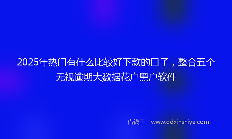 2025年热门有什么比较好下款的口子，整合五个无视逾期大数据花户黑户软件