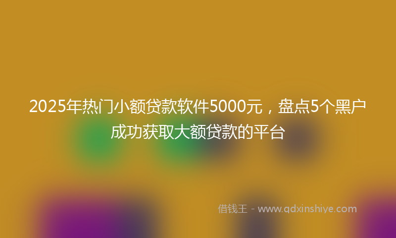 2025年热门小额贷款软件5000元，盘点5个黑户成功获取大额贷款的平台